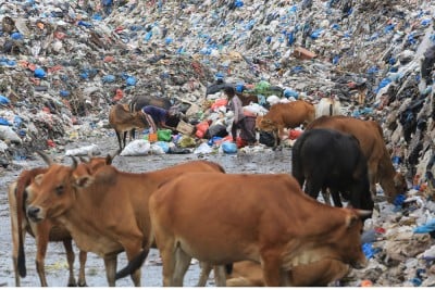 Peningkatan Volume Sampah Selama Ramadan