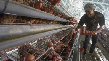 Pemprov NTB Bakal Lakukan Intervensi Harga Komoditas Jelang Lebaran