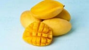 Cuaca Tak Menentu, Produksi Mangga Cirebon Anjlok