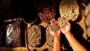 Harga Kopi Semakin Tak Terkendali, Kapan akan Mulai Turun?