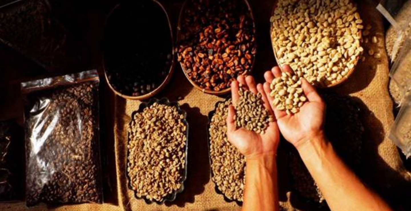 Harga Kopi Semakin Tak Terkendali, Kapan akan Mulai Turun?