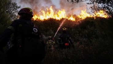 OPINI: Kebakaran Hutan, Sinyal Bahaya yang Tak Bisa Diabaikan