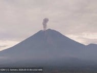 Gunung Semeru Erupsi dengan Ketinggian 900 Meter