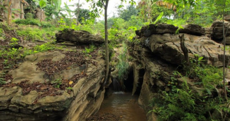 Ini Alasan Pemerintah Segel Kawasan Perumahan Mewah dan Wisata di Bogor
