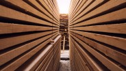 Historia Bisnis: Rulers of Indonesia’s Plywood Industry