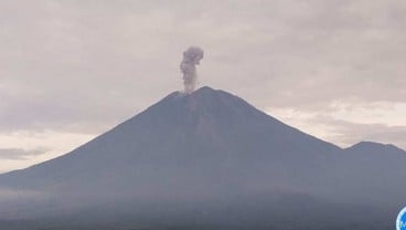 Gunung Semeru Erupsi Setinggi 900 Meter