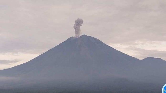 Gunung Semeru Erupsi Setinggi 900 Meter