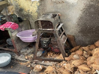 Krisis Kelapa Bulat, Pabrik Olahan PHK Massal Harga Santan Makin Mahal