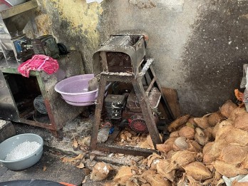 Kementan Klaim Belum Terima Laporan Penurunan Produksi Kelapa