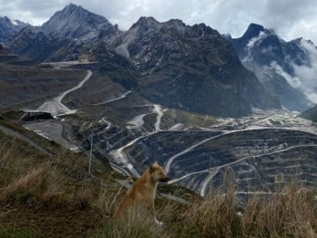 Katalis Freeport-McMoran dari Peresmian Pabrik Pemurnian Emas Raksasa di Gresik