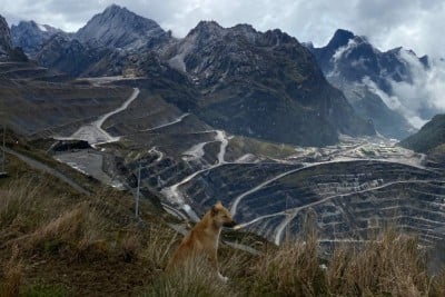 Katalis Freeport-McMoran dari Peresmian Pabrik Pemurnian Emas Raksasa di Gresik