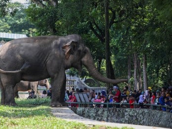 10 Rekomendasi Tempat Wisata Lebaran di Jakarta