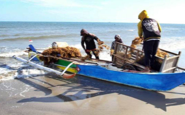Membaca Arah Investasi di Sektor Agritech Usai Skandal Fraud eFishery