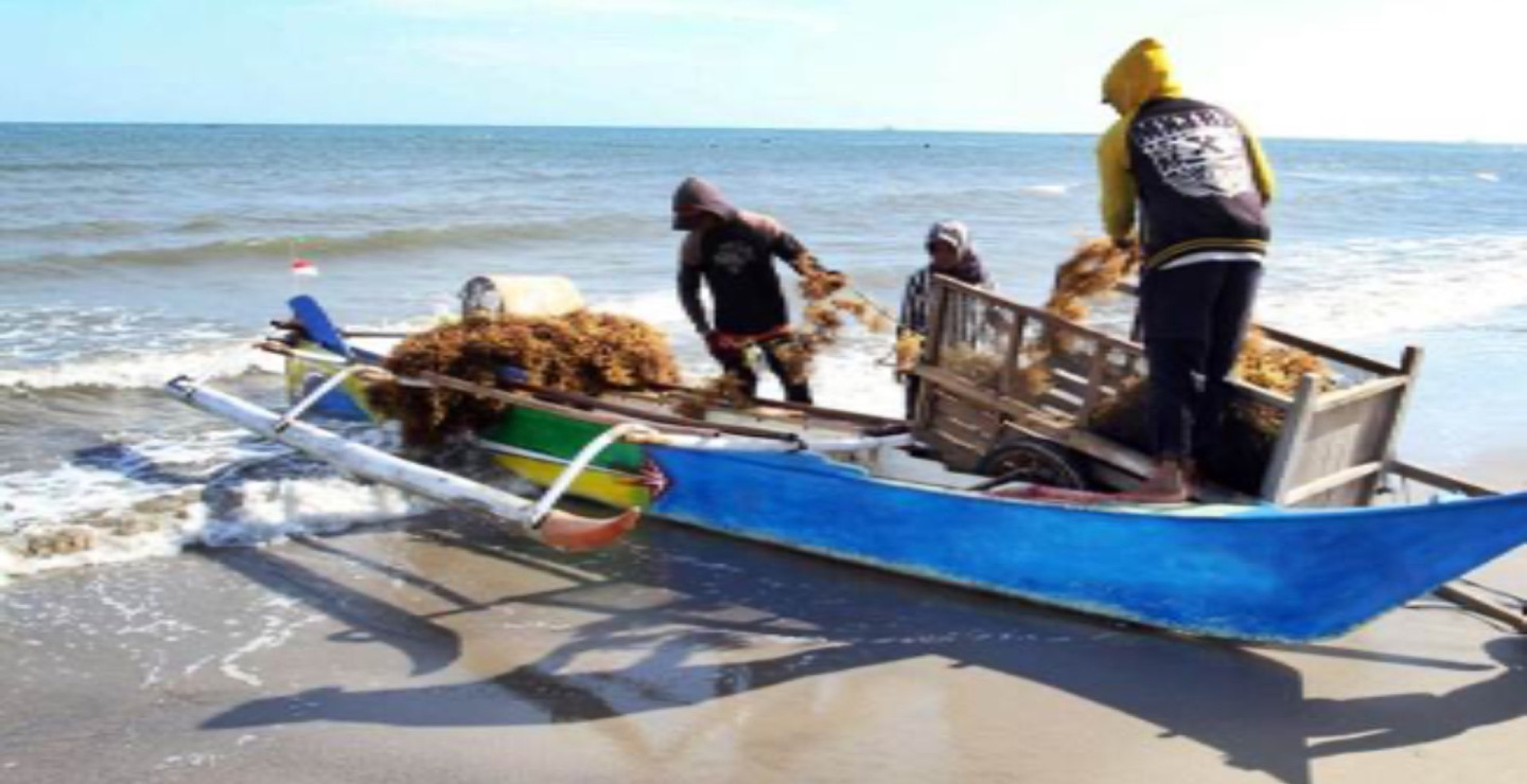 Membaca Arah Investasi di Sektor Agritech Usai Skandal Fraud eFishery