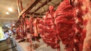 Distribusi dan Lokasi Picu Lonjakan Harga Daging Sapi di Papua