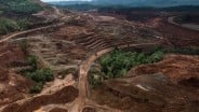 Penaikan Royalti Minerba Tetap Lanjut Kala Industri Dibayangi Tutup Tambang-PHK