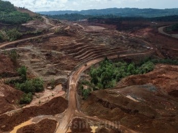 Penaikan Royalti Minerba Tetap Lanjut Kala Industri Dibayangi Tutup Tambang-PHK