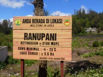 DPR Segera Klarifikasi Kemenhut Soal Temuan Ladang Ganja di Bromo