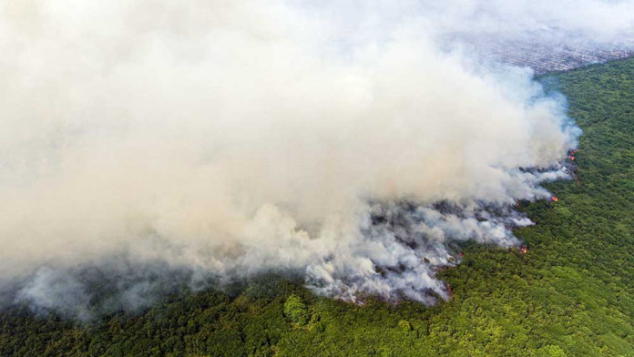 Pemprov Kalsel Siapkan Rp 300 Miliar Hadapi Ancaman Kebakaran Hutan 2025