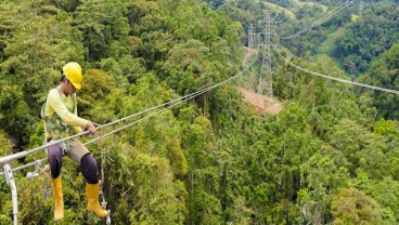PLN Pastikan SUTT 150 kV Kolonodale - Tentena di Sulteng Beroperasi Akhir Maret 2025