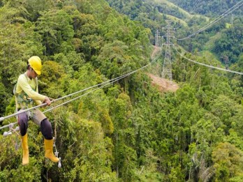 PLN Pastikan SUTT 150 kV Kolonodale - Tentena di Sulteng Beroperasi Akhir Maret 2025