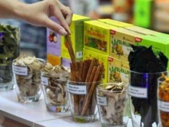 Resep Tahan Masuk Angin SIDO di Tengah Pelemahan Daya Beli