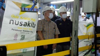 Sinergi Gula Nusantara Dukung Penyelesaian Masalah Proyek PG Djatiroto