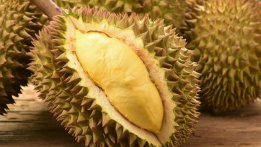 Ekspor ke China, Bapanas Sebut Durian RI Punya Potensi Besar