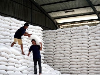 Jelang Lebaran, Bulog Jabar Serap 66.000 Ton Gabah Beras Petani