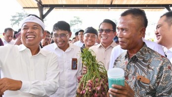 Dedi Mulyadi Sebut Stok Pupuk Bersubsidi di Jabar Aman