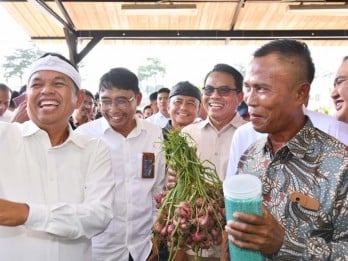 Dedi Mulyadi Sebut Stok Pupuk Bersubsidi di Jabar Aman