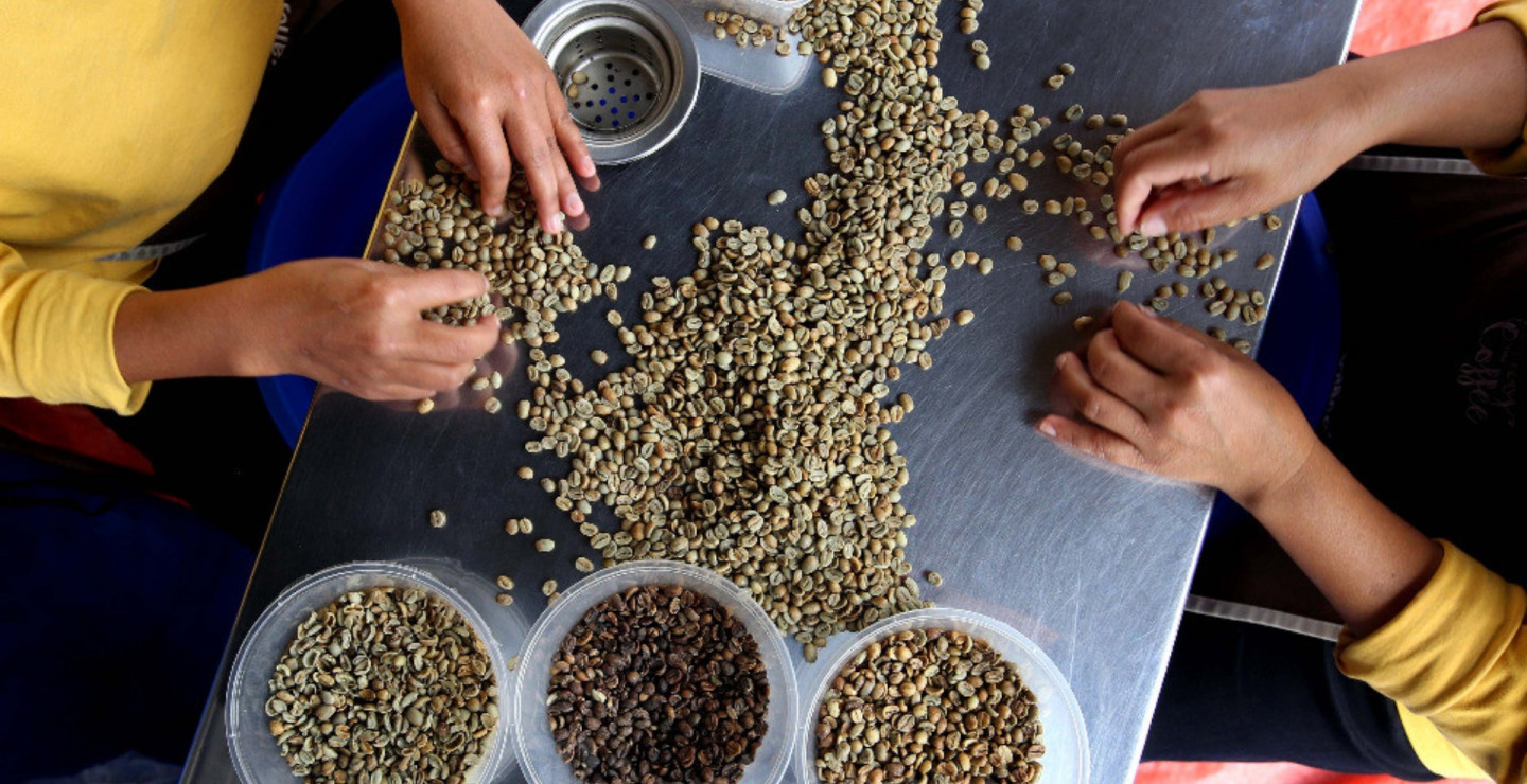 Taruhan Meleset Pedagang Kopi, Harga Makin Pahit di Tingkat Konsumen?