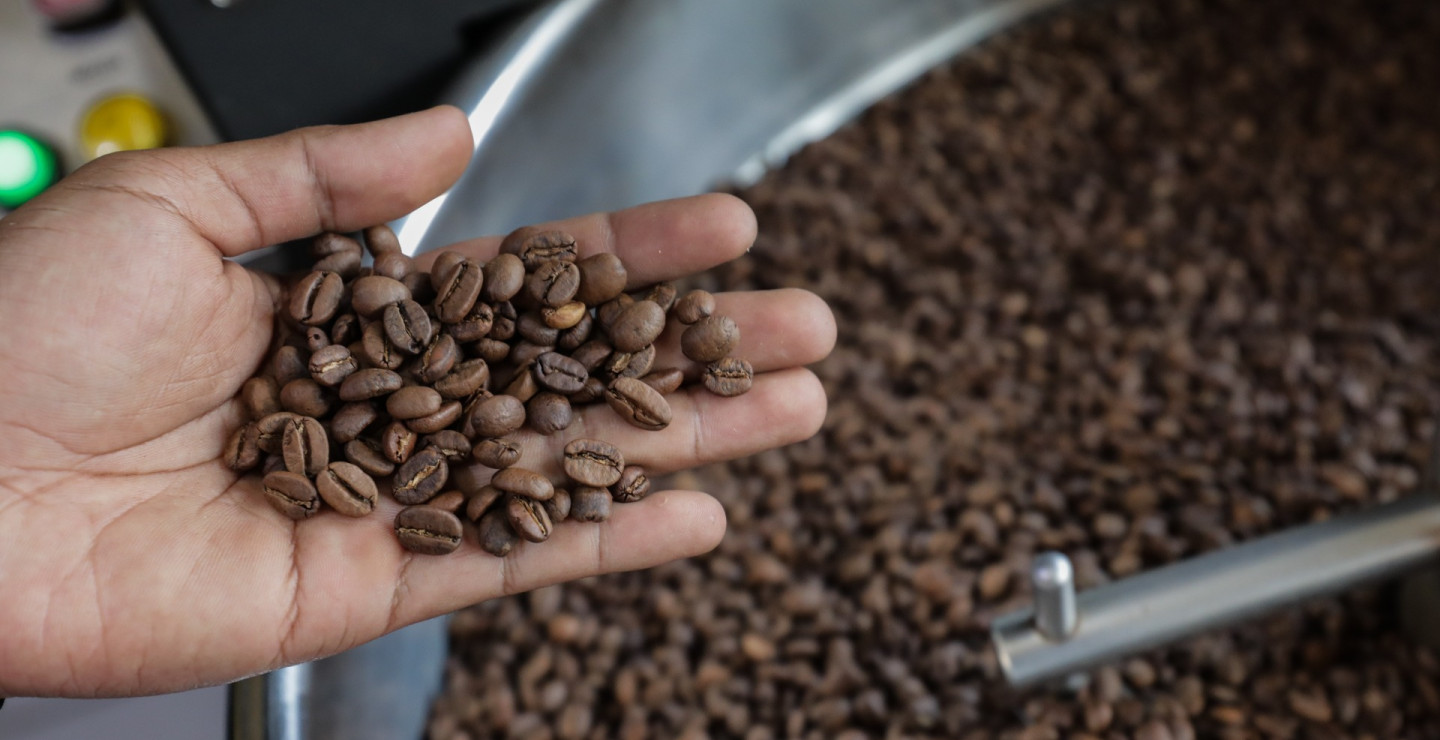 Vietnam dan Indonesia Titik Terang Pasokan Kopi Global 2025-2026