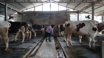 Nestlé Kurangi 20,38% Emisi Karbon pada 2024, Lebih Cepat dari Target