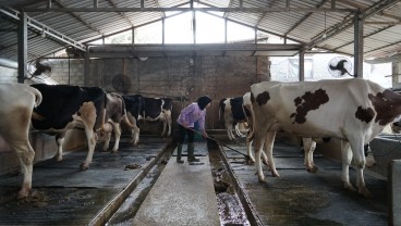 Nestlé Kurangi 20,38% Emisi Karbon pada 2024, Lebih Cepat dari Target