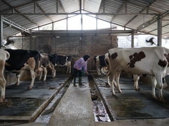 Nestle Kurangi 20,38% Emisi Karbon pada 2024, Lebih Cepat dari Target