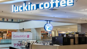 Sosok di Balik Luckin Coffee, Rantai Kopi Terbesar China yang Gandeng Kepulauan Banggai untuk Pasok Kelapa