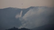 Update Kebakaran Hutan Korea Selatan, Tewaskan Puluhan Orang
