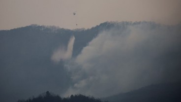 Update Kebakaran Hutan Korea Selatan, Tewaskan Puluhan Orang