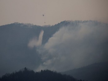 Update Kebakaran Hutan Korea Selatan, Tewaskan Puluhan Orang