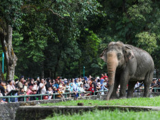 Puncak Lonjakan Pengunjung Ragunan