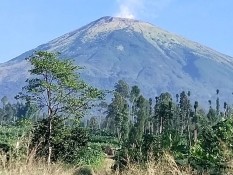 Pendakian Gunung Gede Pangrango Ditutup 4 Hari, Imbas Rentetan Gempa Vulaknik
