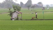 Petani Lombok Tengah Minta Pembangunan Bendungan Dipercepat