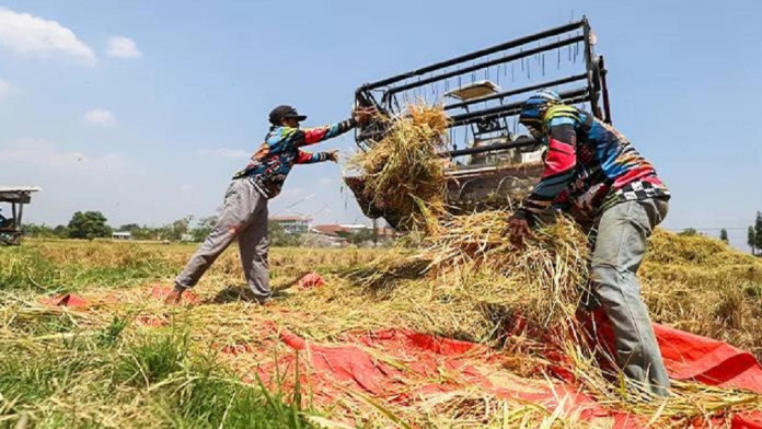 PLN Listriki 165.843 Pelanggan Sektor Pertanian di Jatim