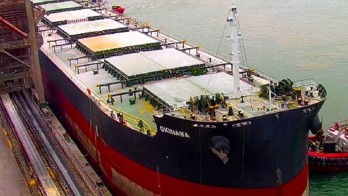 PT Terminal Teluk Lamong Catat Ship to Ship 34 Menit