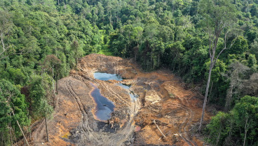 Alih Fungsi Lahan Hutan Jadi Lokasi Tambang Di Samarinda