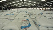 Masuki Musim Tanam, Petrokimia Gresik Siapkan Pupuk Bersubsidi 437.900 Ton