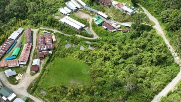 Rencana Penambangan Emas Skala Besar Masmindo Disorot, Gubernur akan Surati Presiden untuk Evaluasi