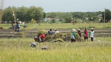 Kuartal 1/2025, Program Makmur Pupuk Indonesia Sentuh 128.000 Petani