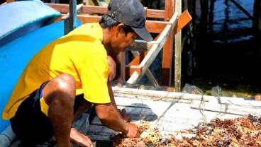 Bontang Susun Peta Potensi Investasi Daerah Bersama Universitas Mulawarman